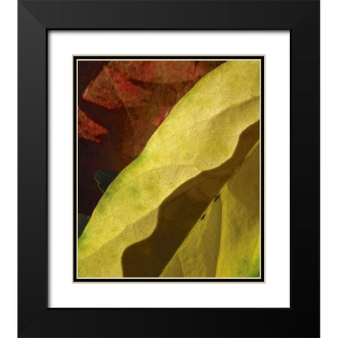 Fall Colors IV Black Modern Wood Framed Art Print with Double Matting by Burkhart, Monika