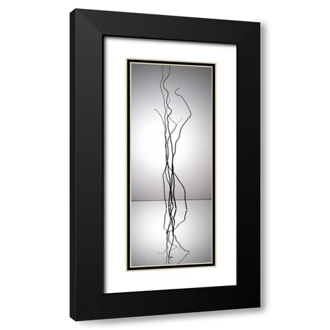 Natures Reflections I Black Modern Wood Framed Art Print with Double Matting by Burkhart, Monika