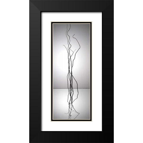 Natures Reflections I Black Modern Wood Framed Art Print with Double Matting by Burkhart, Monika