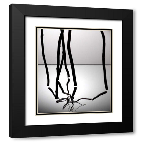 Natures Reflections III Black Modern Wood Framed Art Print with Double Matting by Burkhart, Monika