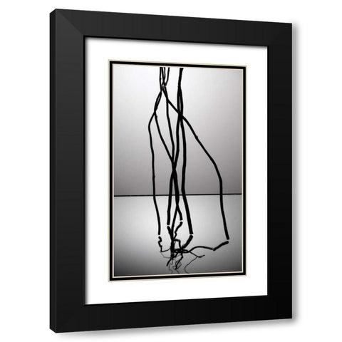 Natures Reflections IV Black Modern Wood Framed Art Print with Double Matting by Burkhart, Monika