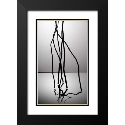 Natures Reflections IV Black Modern Wood Framed Art Print with Double Matting by Burkhart, Monika