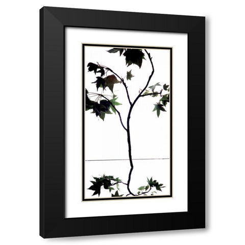 Maple Branch V Black Modern Wood Framed Art Print with Double Matting by Burkhart, Monika