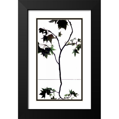 Maple Branch V Black Modern Wood Framed Art Print with Double Matting by Burkhart, Monika