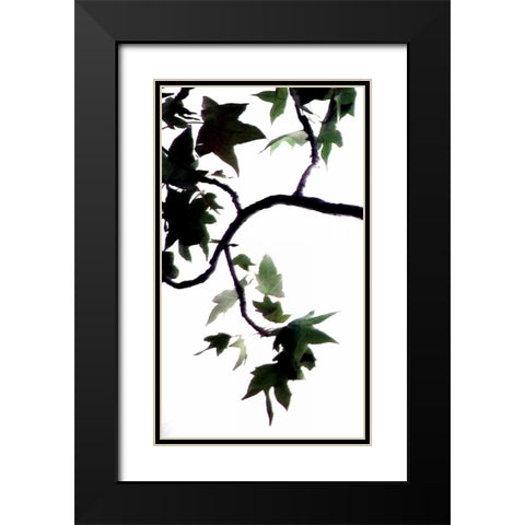 Maple Branch VI Black Modern Wood Framed Art Print with Double Matting by Burkhart, Monika