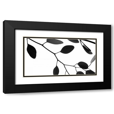 Lunaria Honesty III Black Modern Wood Framed Art Print with Double Matting by Burkhart, Monika