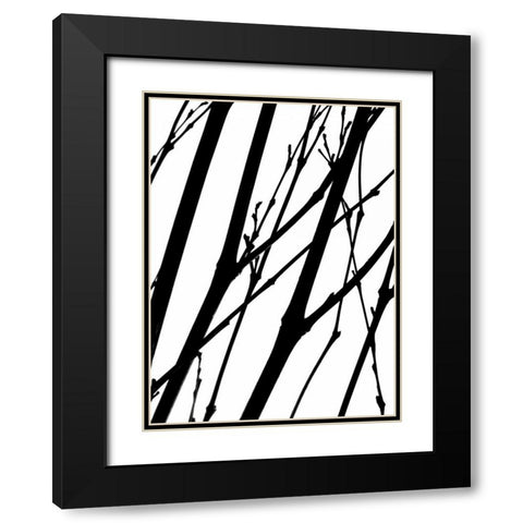 Branch Silhouette II Black Modern Wood Framed Art Print with Double Matting by Burkhart, Monika