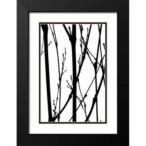 Branch Silhouette IV Black Modern Wood Framed Art Print with Double Matting by Burkhart, Monika