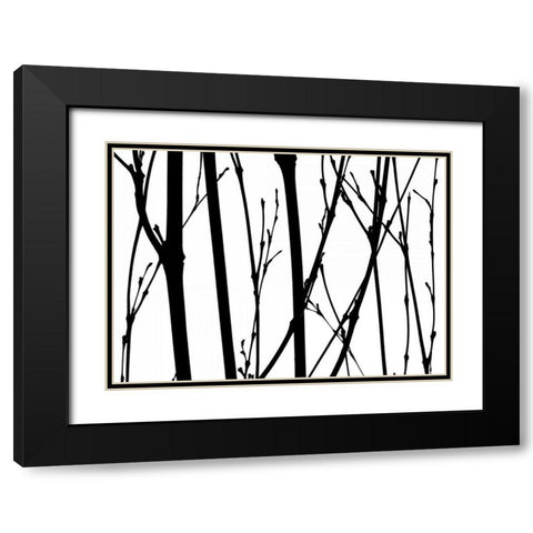 Branch Silhouette V Black Modern Wood Framed Art Print with Double Matting by Burkhart, Monika