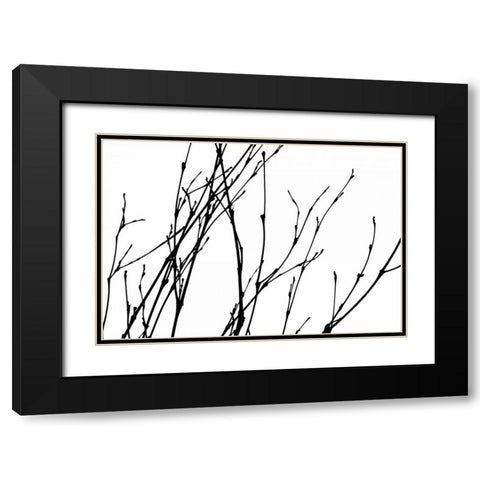 Dancing Branches I Black Modern Wood Framed Art Print with Double Matting by Burkhart, Monika