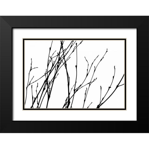 Dancing Branches I Black Modern Wood Framed Art Print with Double Matting by Burkhart, Monika