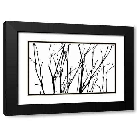 Dancing Branches II Black Modern Wood Framed Art Print with Double Matting by Burkhart, Monika