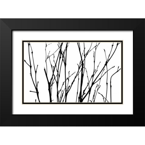 Dancing Branches II Black Modern Wood Framed Art Print with Double Matting by Burkhart, Monika