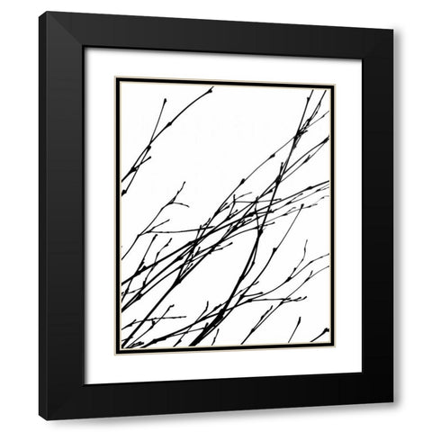 Dancing Branches IV Black Modern Wood Framed Art Print with Double Matting by Burkhart, Monika