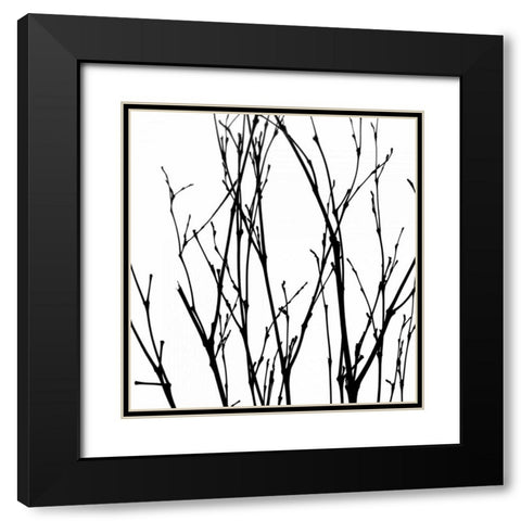 Dancing Branches V Black Modern Wood Framed Art Print with Double Matting by Burkhart, Monika