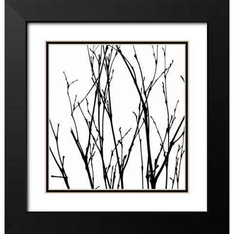 Dancing Branches V Black Modern Wood Framed Art Print with Double Matting by Burkhart, Monika