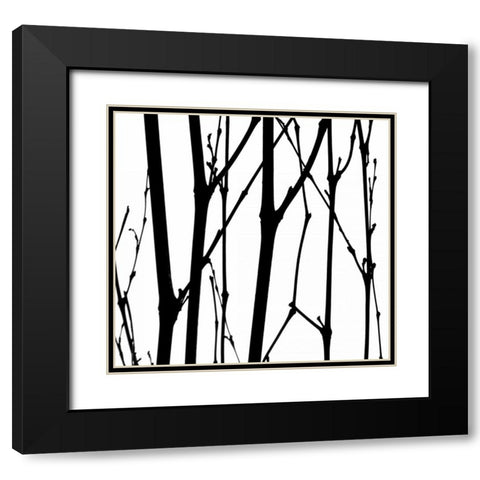 Dancing Branches VI Black Modern Wood Framed Art Print with Double Matting by Burkhart, Monika