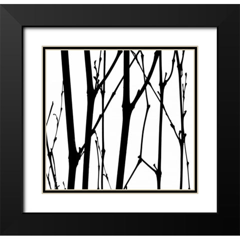 Dancing Branches VI Black Modern Wood Framed Art Print with Double Matting by Burkhart, Monika