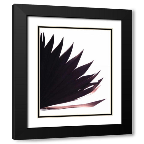 Backlit I Black Modern Wood Framed Art Print with Double Matting by Burkhart, Monika
