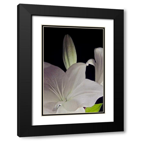 White Lilies IV Black Modern Wood Framed Art Print with Double Matting by Burkhart, Monika