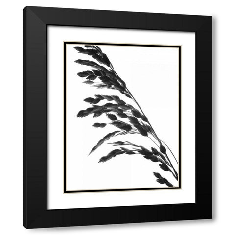 Soliloquy I Black Modern Wood Framed Art Print with Double Matting by Burkhart, Monika
