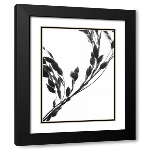 Soliloquy II Black Modern Wood Framed Art Print with Double Matting by Burkhart, Monika