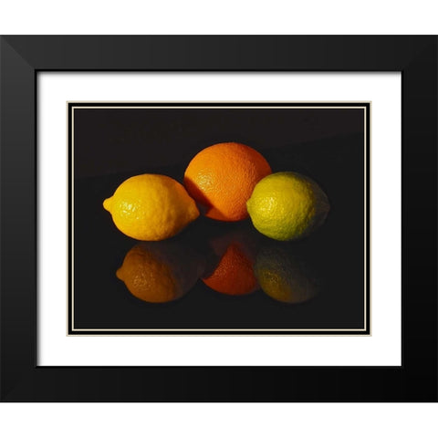 Citrus Reflections Black Modern Wood Framed Art Print with Double Matting by Burkhart, Monika