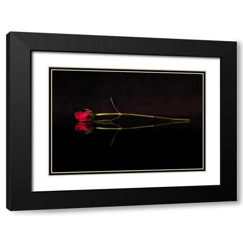 Evening Romace II Black Modern Wood Framed Art Print with Double Matting by Burkhart, Monika