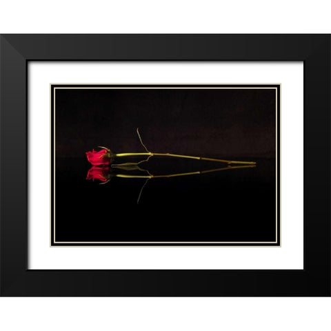 Evening Romace II Black Modern Wood Framed Art Print with Double Matting by Burkhart, Monika