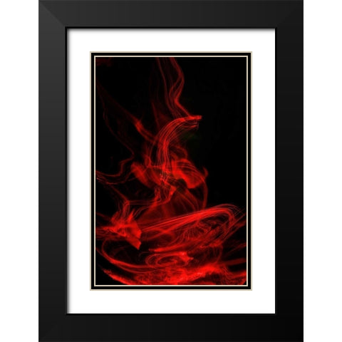 Flamenco II Black Modern Wood Framed Art Print with Double Matting by Burkhart, Monika