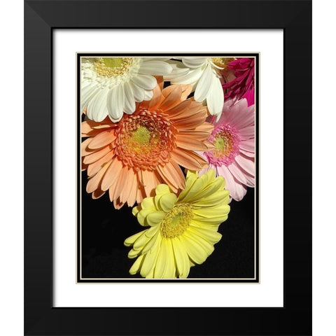 Spring Potpourri III Black Modern Wood Framed Art Print with Double Matting by Burkhart, Monika