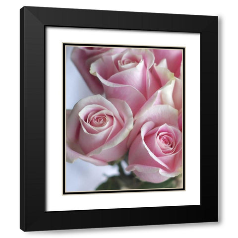 Perfectly Pink I Black Modern Wood Framed Art Print with Double Matting by Burkhart, Monika