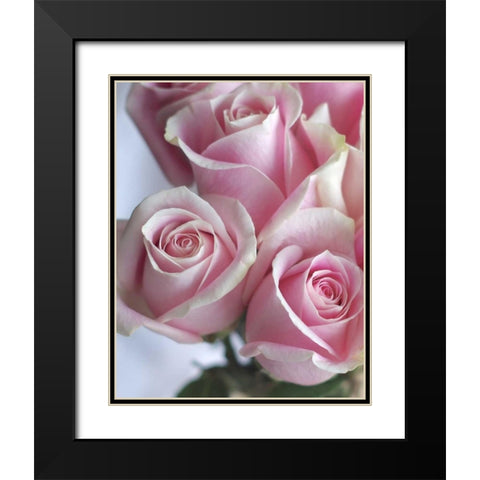 Perfectly Pink I Black Modern Wood Framed Art Print with Double Matting by Burkhart, Monika