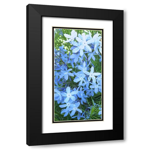 Variations in Blue I Black Modern Wood Framed Art Print with Double Matting by Burkhart, Monika