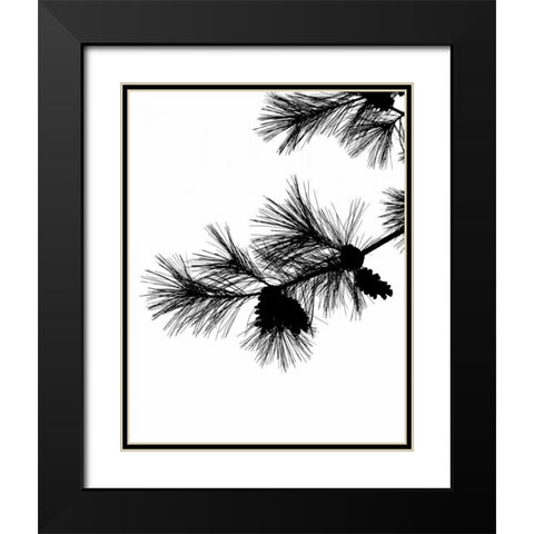 Pine Soliloquy I Black Modern Wood Framed Art Print with Double Matting by Burkhart, Monika