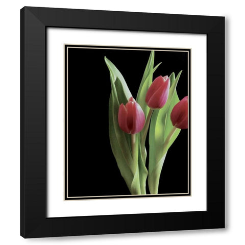 Blush of Spring II Black Modern Wood Framed Art Print with Double Matting by Burkhart, Monika