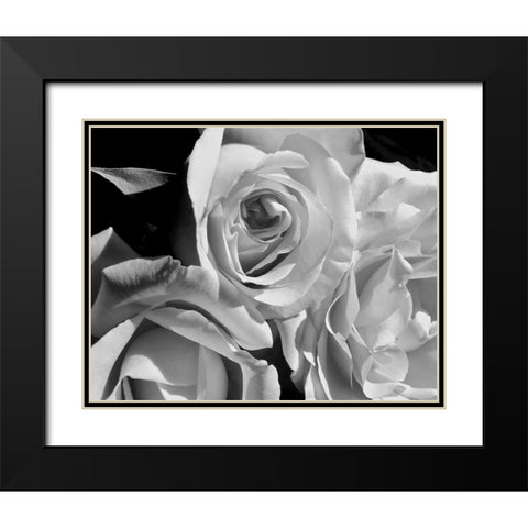LEssence de la Rose BW IV Black Modern Wood Framed Art Print with Double Matting by Burkhart, Monika