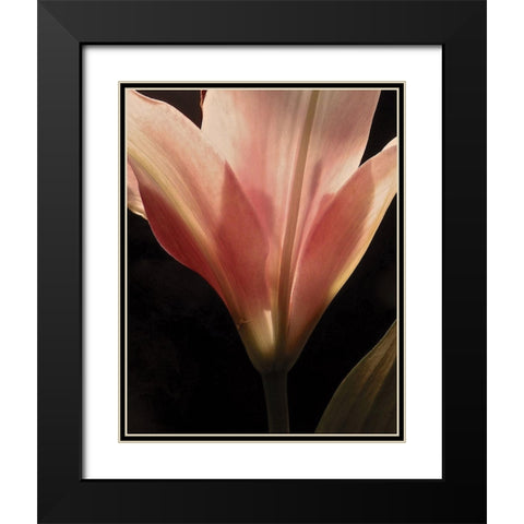 Blooming Peach Floral Black Modern Wood Framed Art Print with Double Matting by Burkhart, Monika