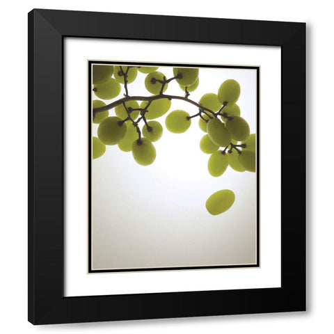 Grape Bunch I Black Modern Wood Framed Art Print with Double Matting by Burkhart, Monika