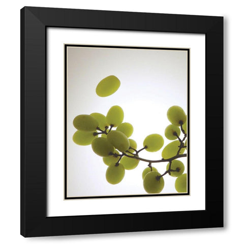 Grape Bunch II Black Modern Wood Framed Art Print with Double Matting by Burkhart, Monika
