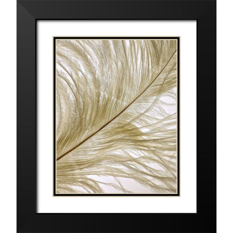 Feather Close-Up II Black Modern Wood Framed Art Print with Double Matting by Burkhart, Monika