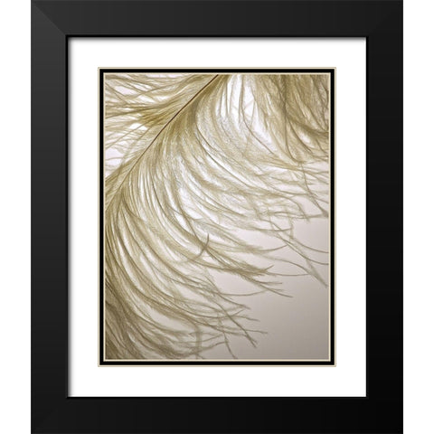 Feather Close-Up III Black Modern Wood Framed Art Print with Double Matting by Burkhart, Monika