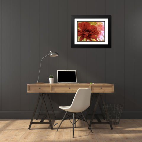 Gerbera Daisies Black Modern Wood Framed Art Print with Double Matting by Burkhart, Monika