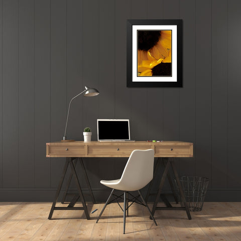 Sunflowers IX Black Modern Wood Framed Art Print with Double Matting by Burkhart, Monika