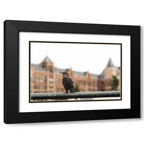 Perched II Black Modern Wood Framed Art Print with Double Matting by Berzel, Erin