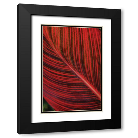 Red Leaf I Black Modern Wood Framed Art Print with Double Matting by Berzel, Erin