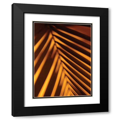 Leaf Shadow I Black Modern Wood Framed Art Print with Double Matting by Berzel, Erin