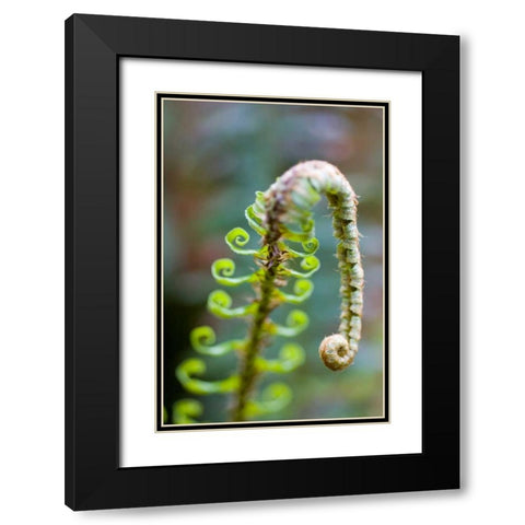 Spring Growth II Black Modern Wood Framed Art Print with Double Matting by Berzel, Erin