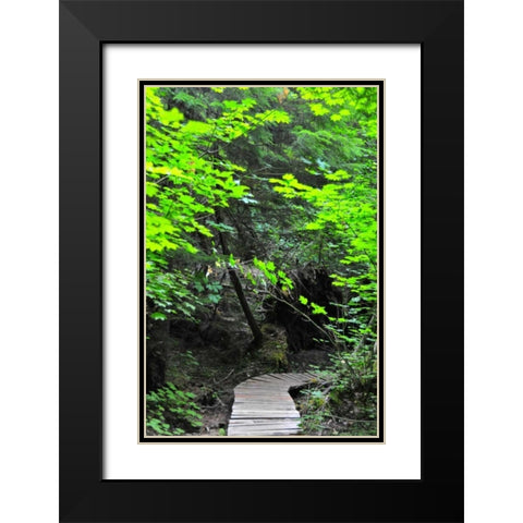 Afternoon Hike II Black Modern Wood Framed Art Print with Double Matting by Berzel, Erin