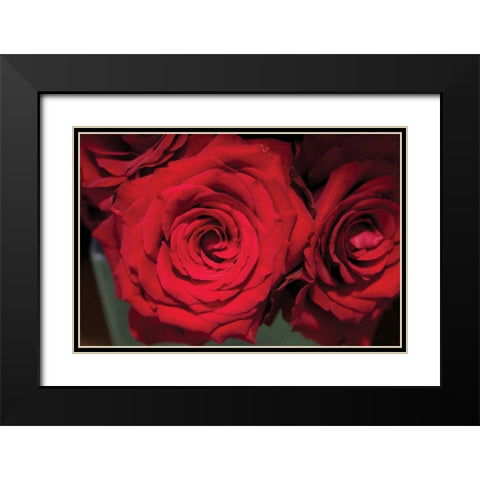 Red Roses Black Modern Wood Framed Art Print with Double Matting by Berzel, Erin
